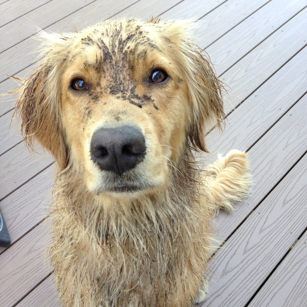 Meet your Posher, Brian